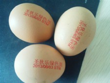 喷码机案例-鸡蛋壳